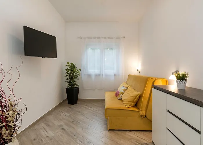 House Bumbiste 1703